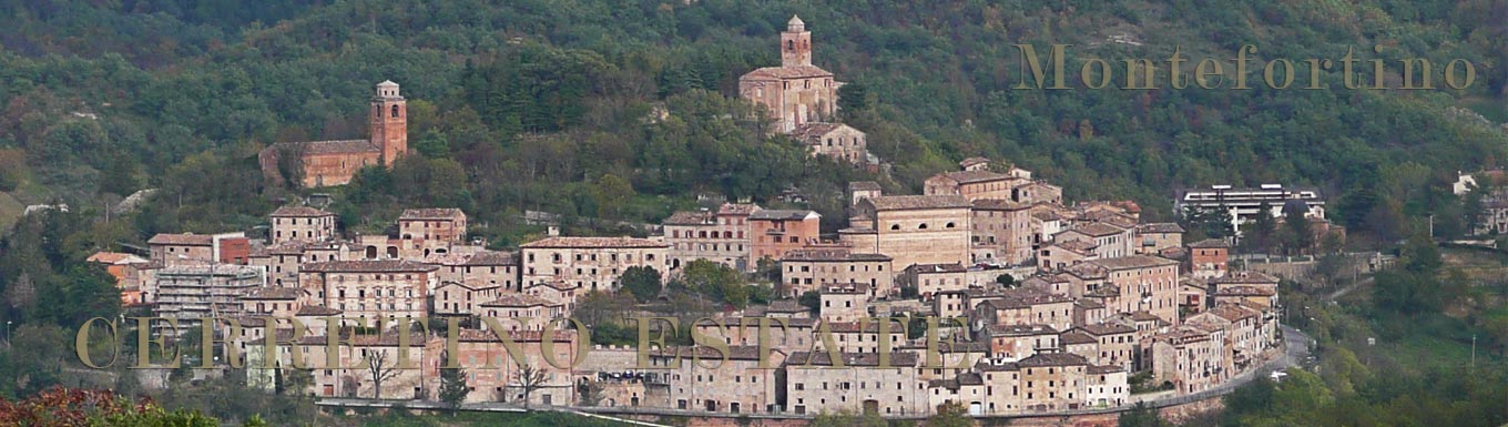 Tenuta Cerretino villa con piscina Montefortino
