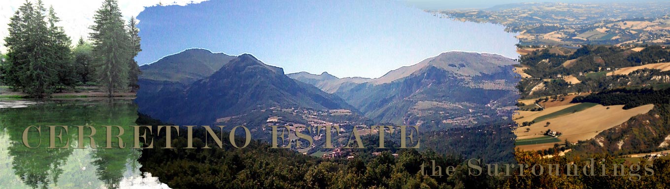 Tenuta Cerretino villa con piscina Montefortino