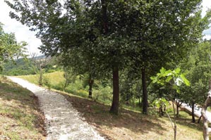 Tenuta Cerretino